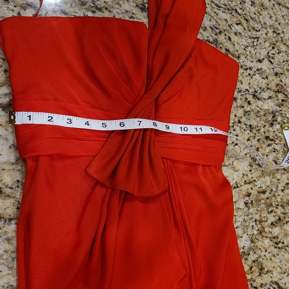 Dress Is A Stunner! - Picture 3 of 13